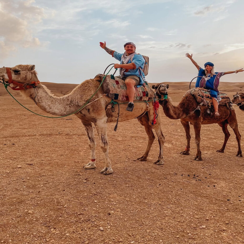 camel webiste