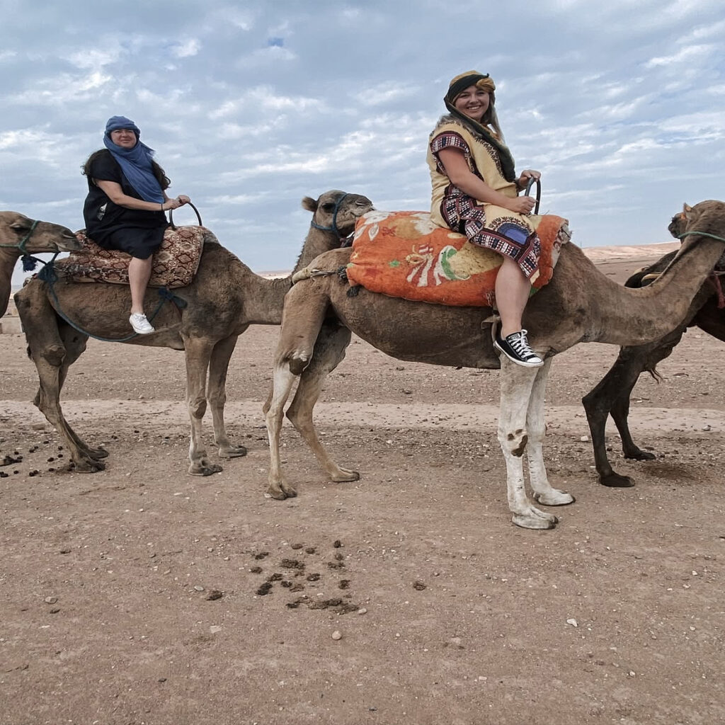 camel webiste 11