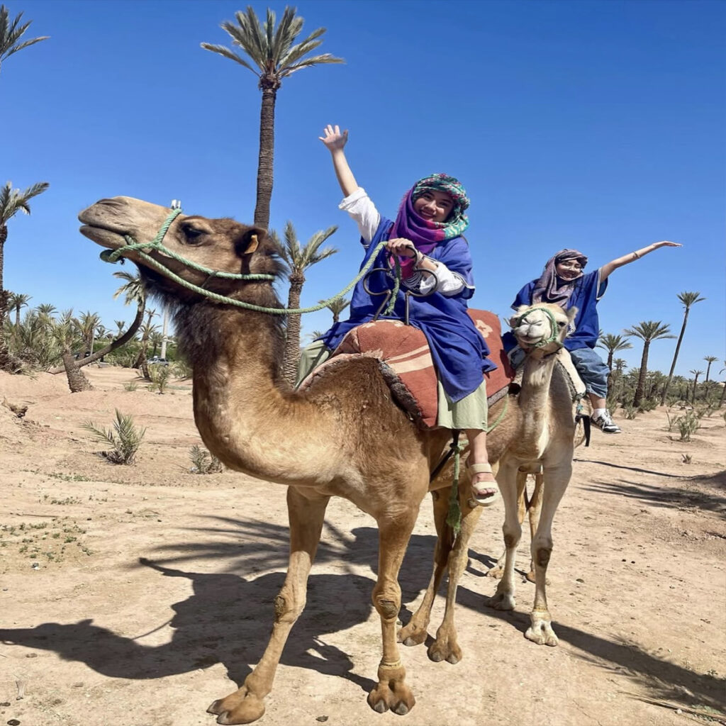 camel webiste 3