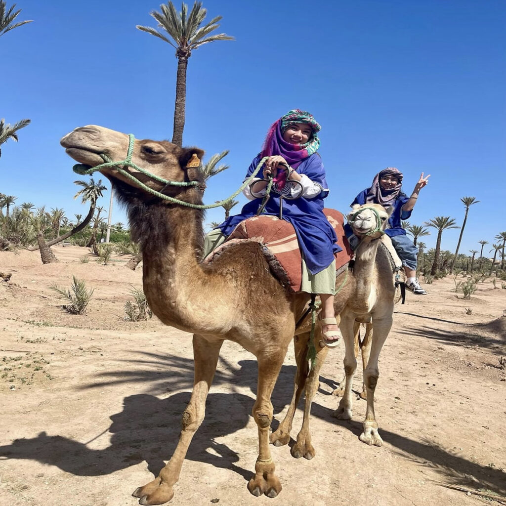 camel webiste 5