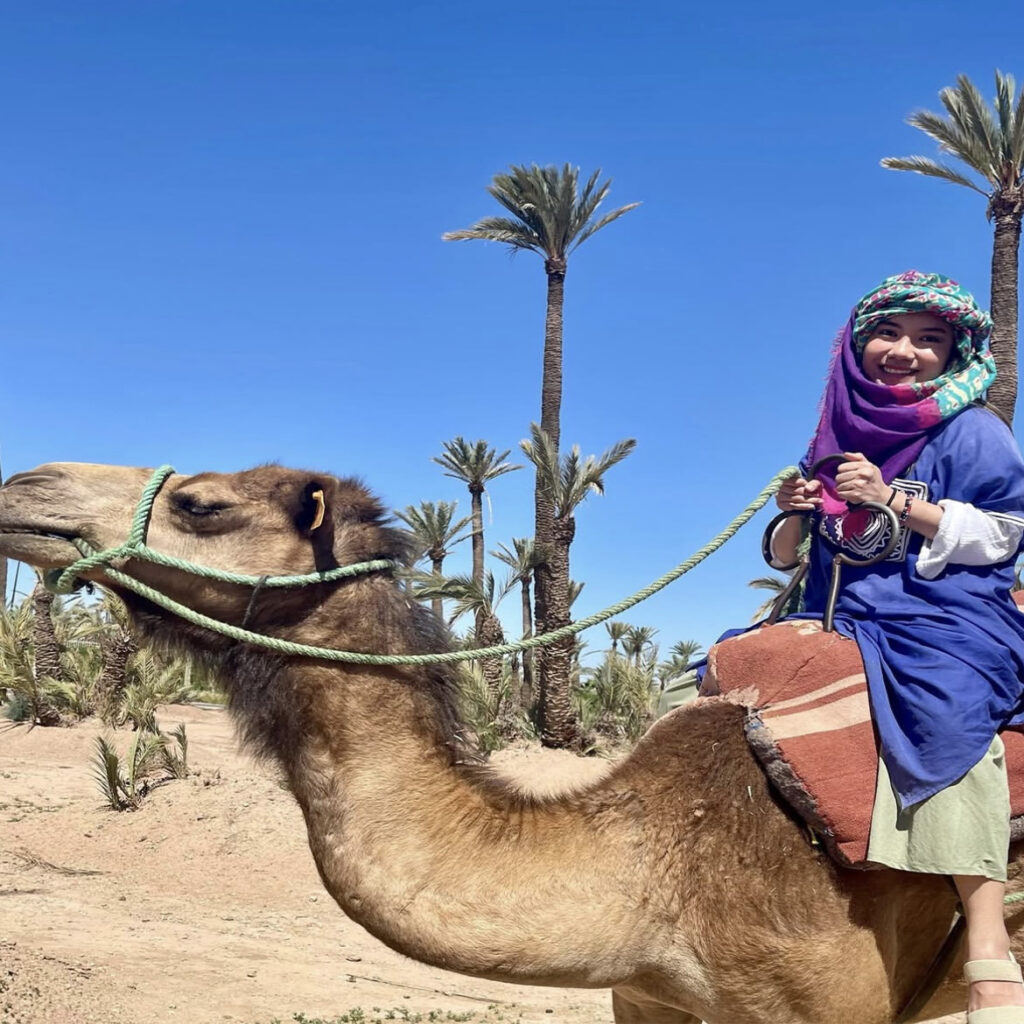 camel webiste 6