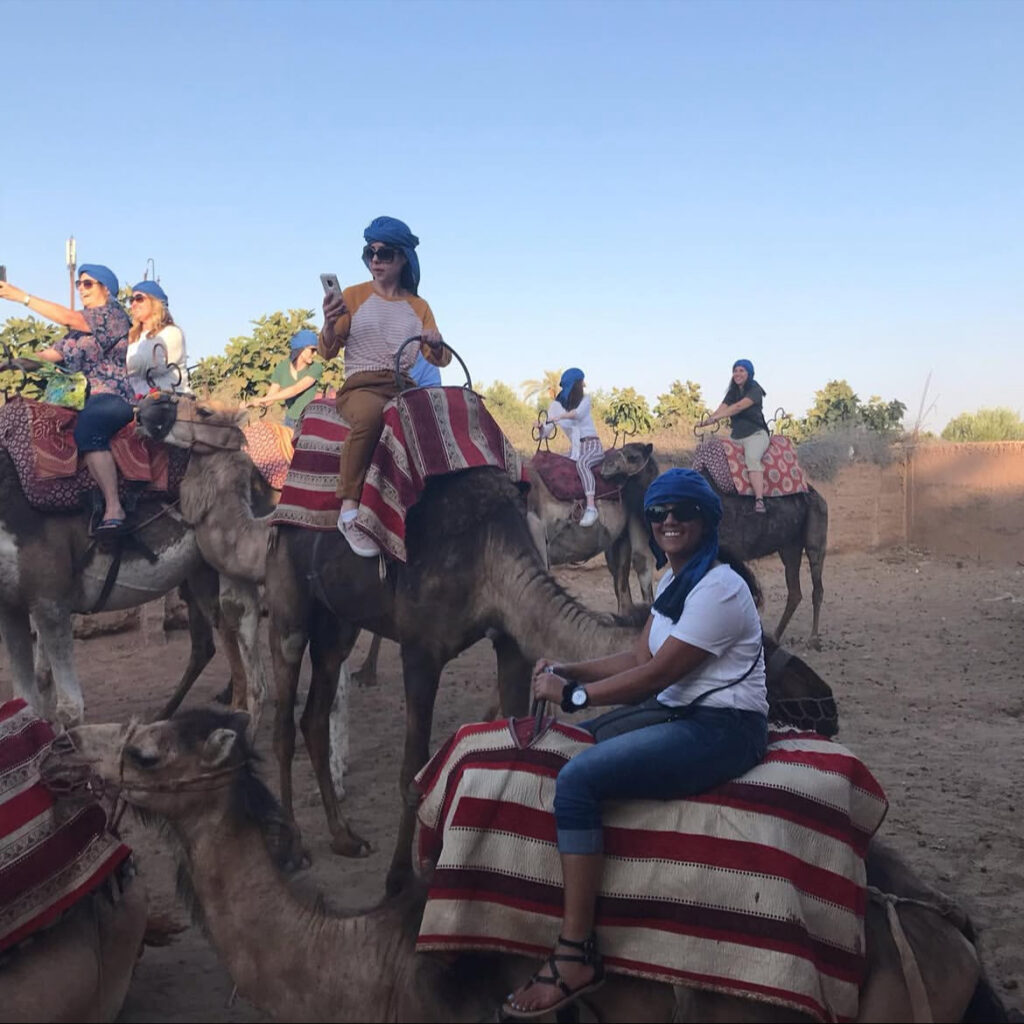 camel webiste 7