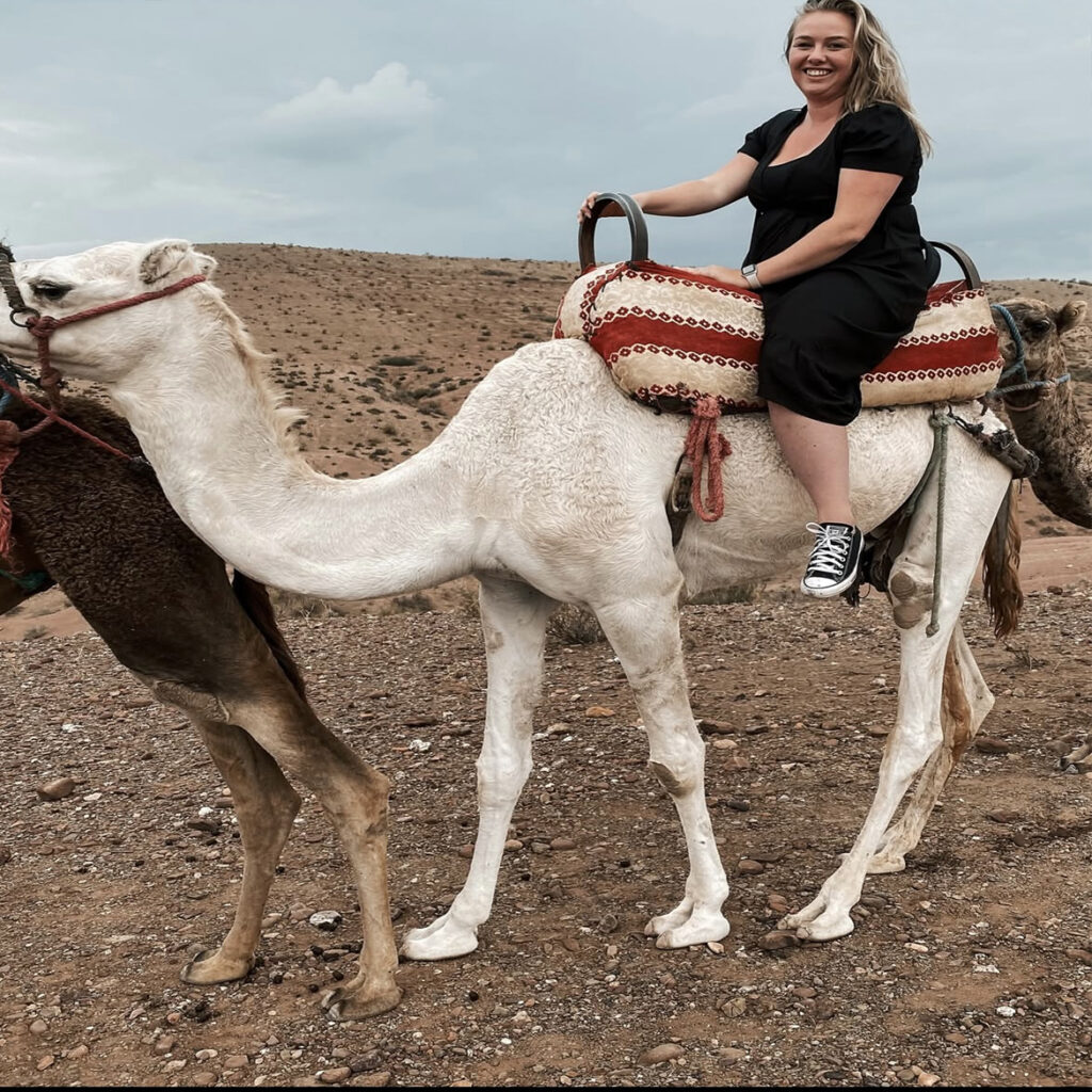 camel webiste 9